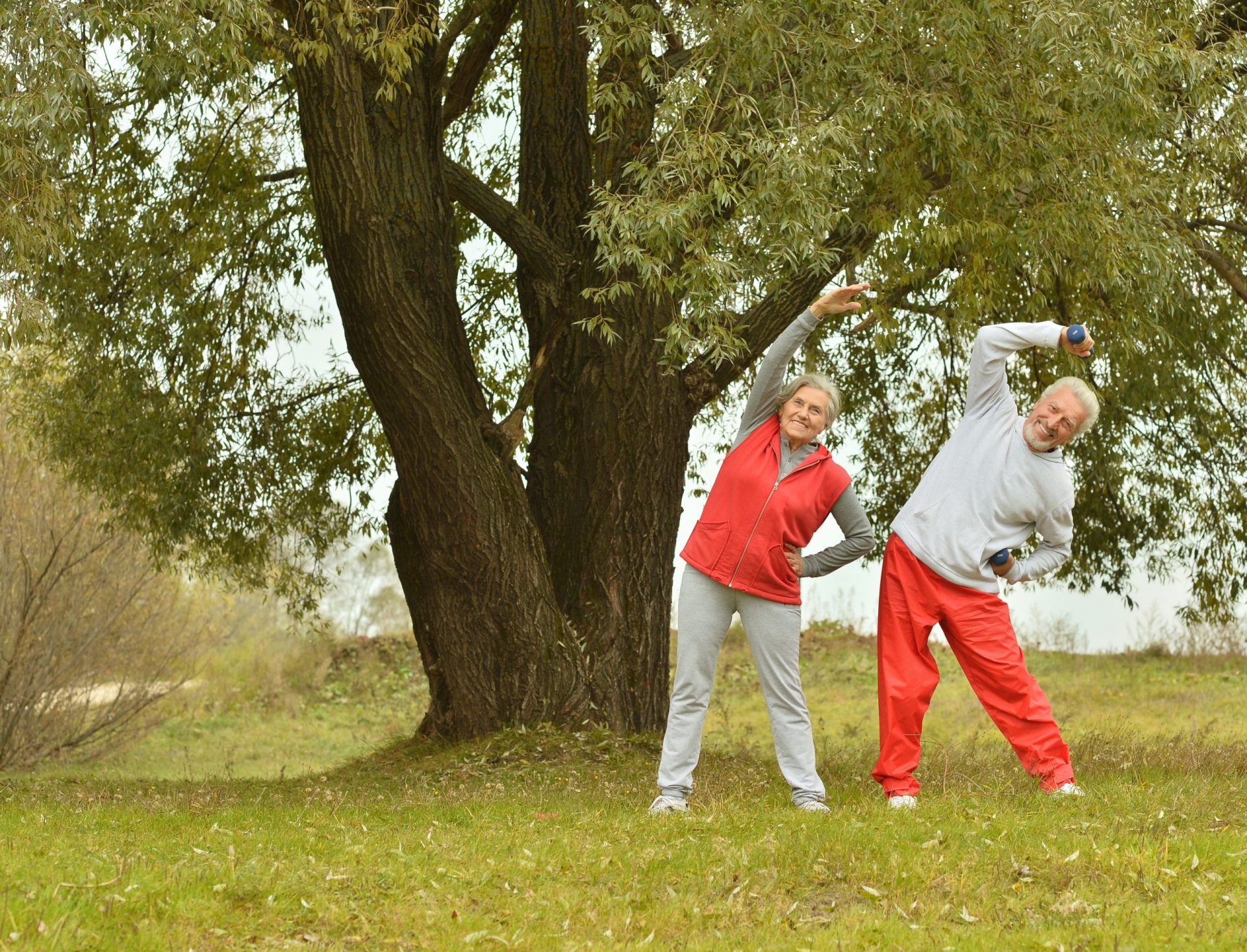 Zivljenjski stil